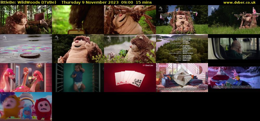 littleBe: WildWoods (ITVBe) Thursday 9 November 2023 09:00 - 09:15