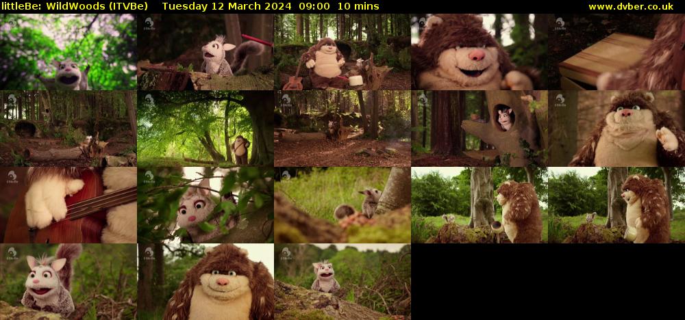 littleBe: WildWoods (ITVBe) Tuesday 12 March 2024 09:00 - 09:10