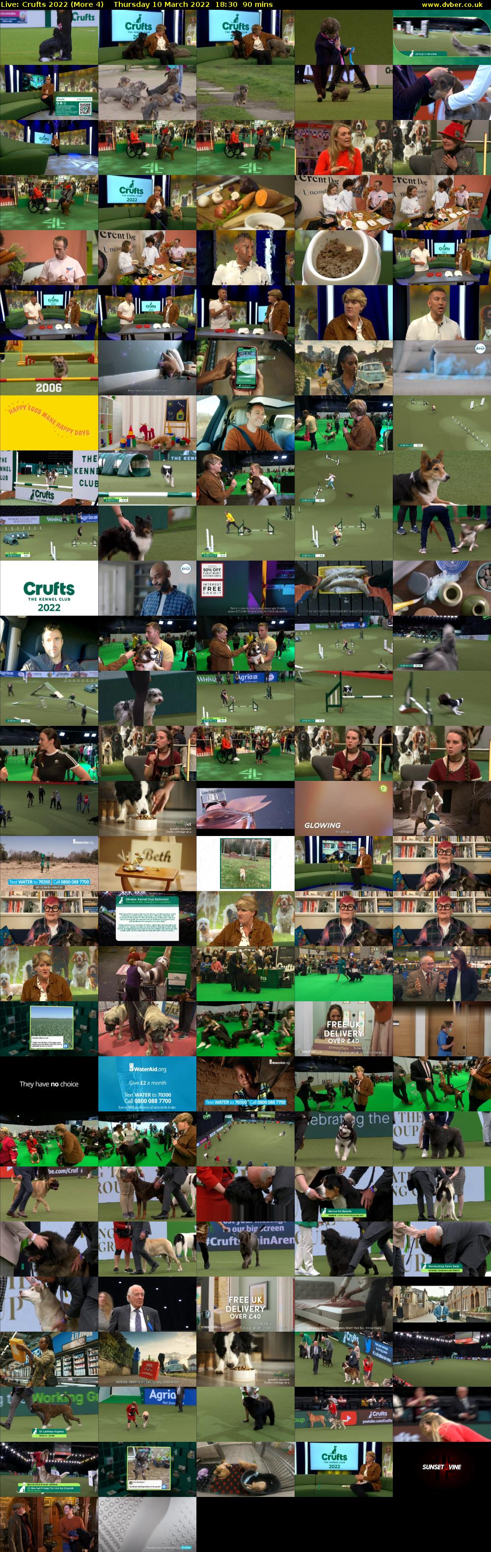 Live: Crufts 2022 (More 4) Thursday 10 March 2022 18:30 - 20:00