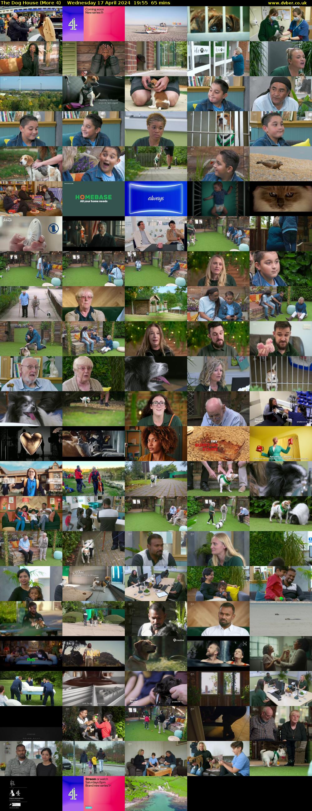 The Dog House (More 4) Wednesday 17 April 2024 19:55 - 21:00