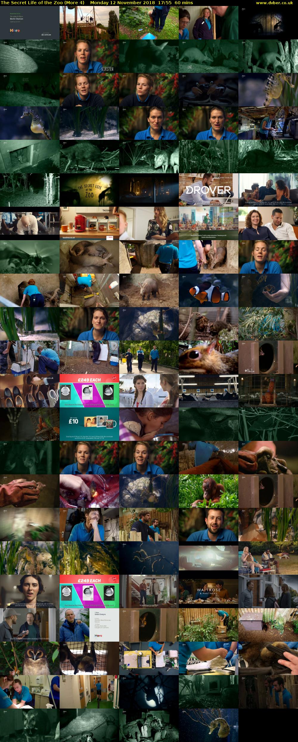 The Secret Life of the Zoo (More 4) Monday 12 November 2018 17:55 - 18:55
