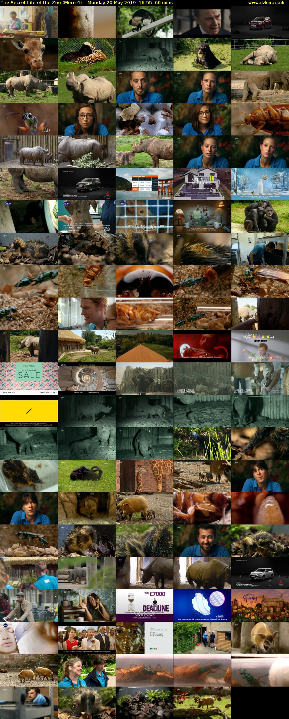 The Secret Life of the Zoo (More 4) Monday 20 May 2019 16:55 - 17:55
