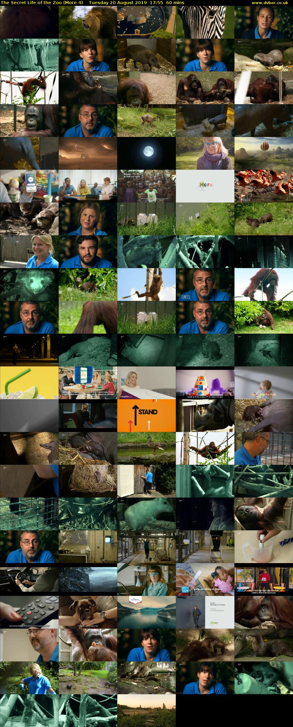The Secret Life of the Zoo (More 4) Tuesday 20 August 2019 17:55 - 18:55