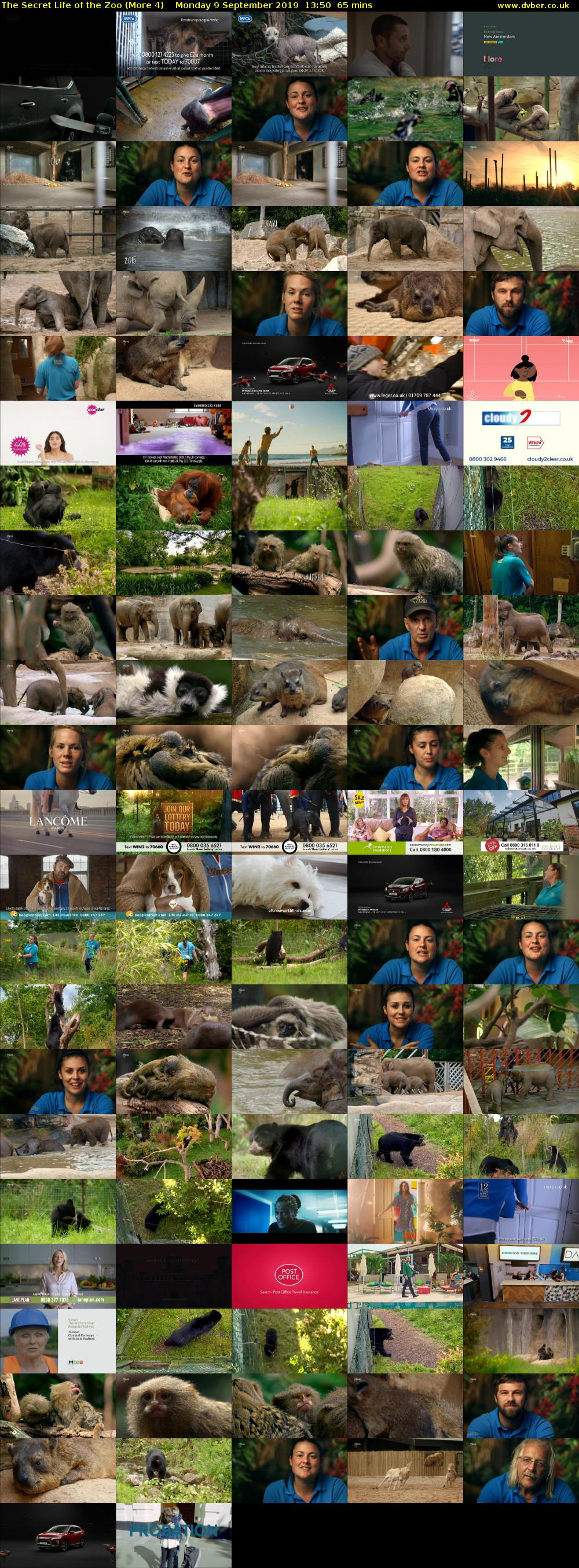 The Secret Life of the Zoo (More 4) Monday 9 September 2019 13:50 - 14:55