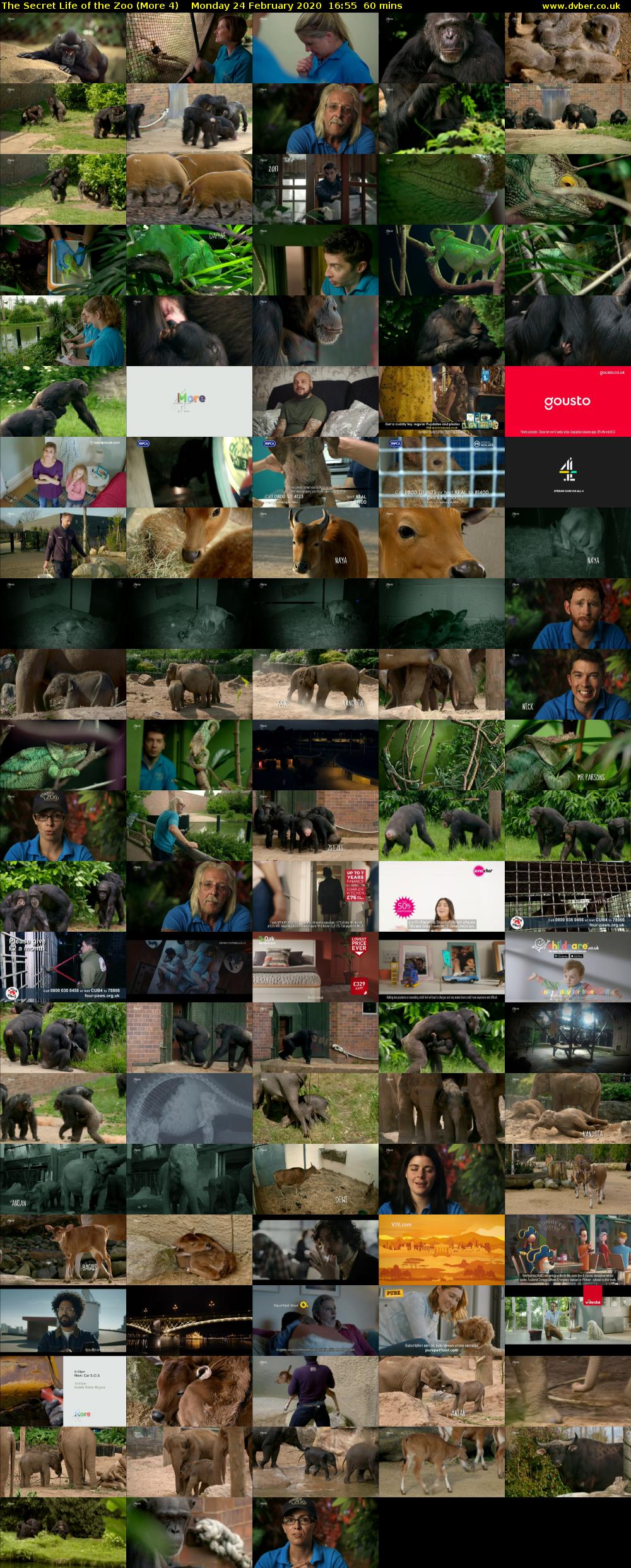 The Secret Life of the Zoo (More 4) Monday 24 February 2020 16:55 - 17:55