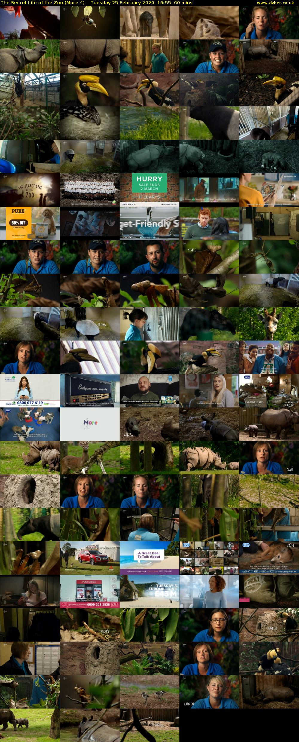 The Secret Life of the Zoo (More 4) Tuesday 25 February 2020 16:55 - 17:55