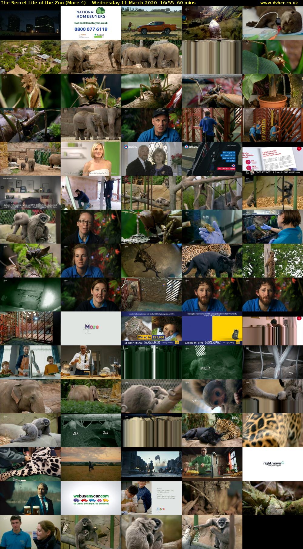 The Secret Life of the Zoo (More 4) Wednesday 11 March 2020 16:55 - 17:55