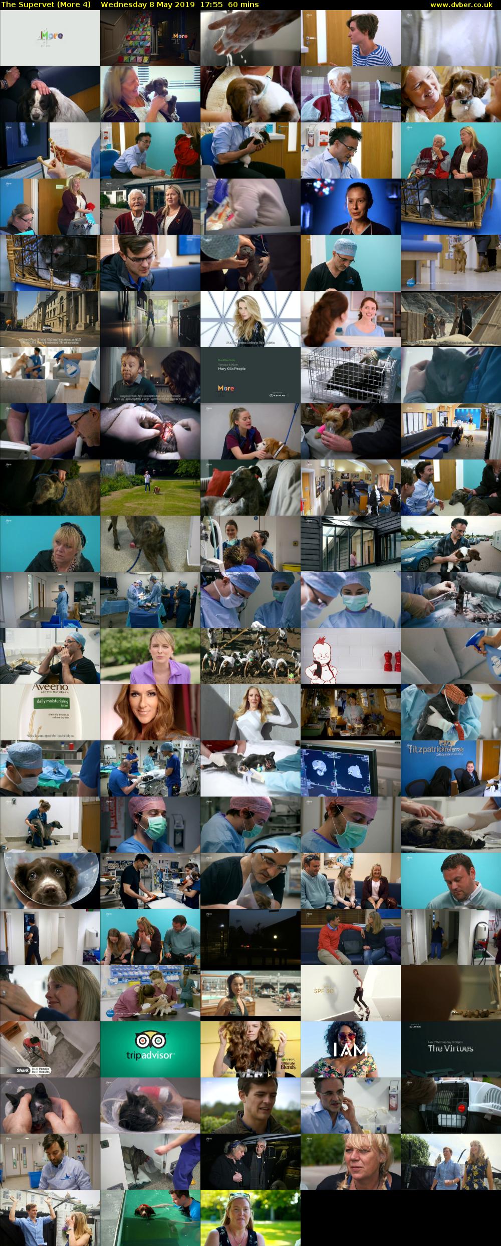 The Supervet (More 4) Wednesday 8 May 2019 17:55 - 18:55
