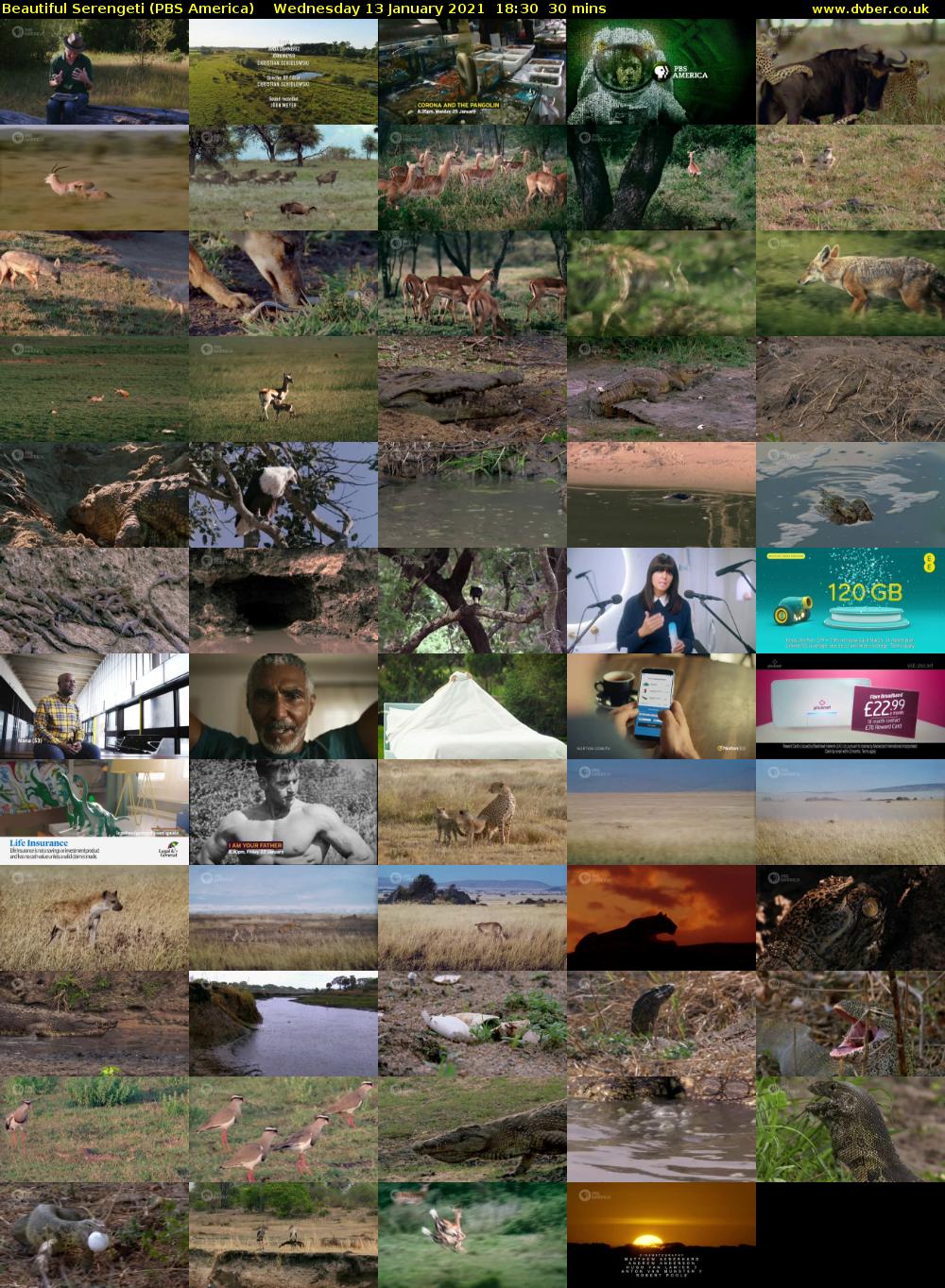 Beautiful Serengeti (PBS America) Wednesday 13 January 2021 18:30 - 19:00