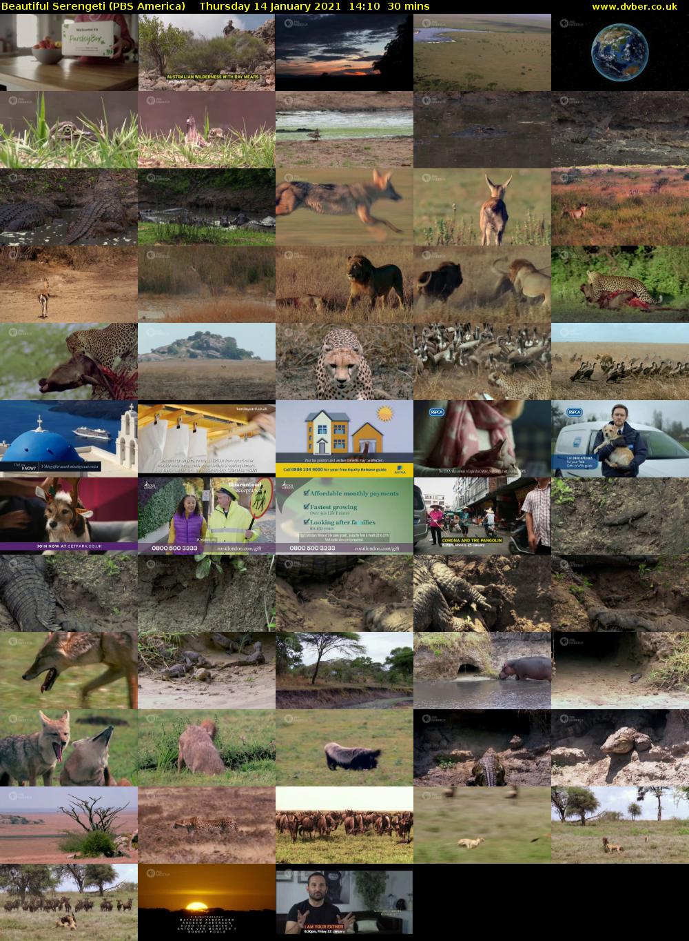 Beautiful Serengeti (PBS America) Thursday 14 January 2021 14:10 - 14:40