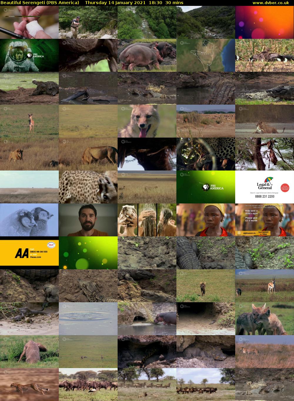 Beautiful Serengeti (PBS America) Thursday 14 January 2021 18:30 - 19:00