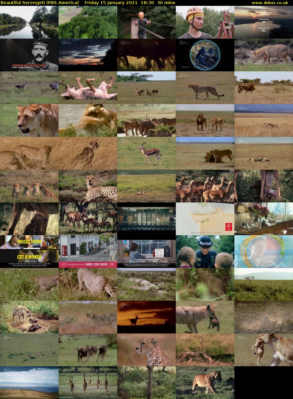 Beautiful Serengeti (PBS America) Friday 15 January 2021 18:30 - 19:00