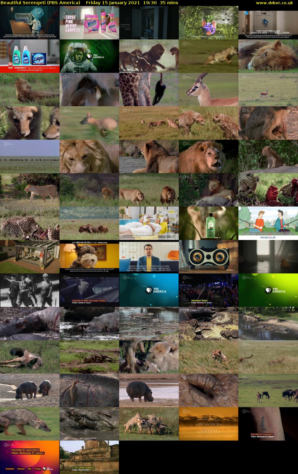 Beautiful Serengeti (PBS America) Friday 15 January 2021 19:30 - 20:05