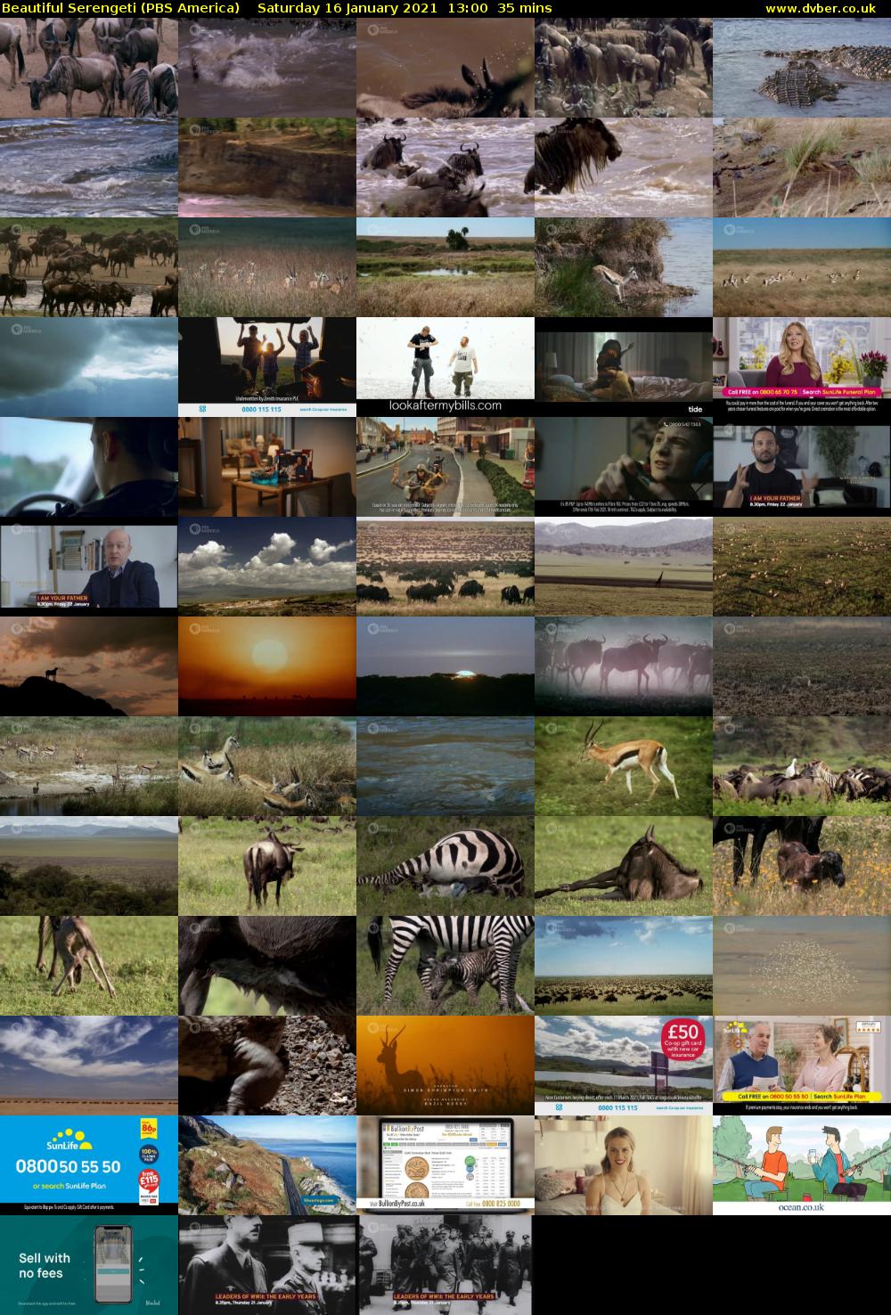Beautiful Serengeti (PBS America) Saturday 16 January 2021 13:00 - 13:35