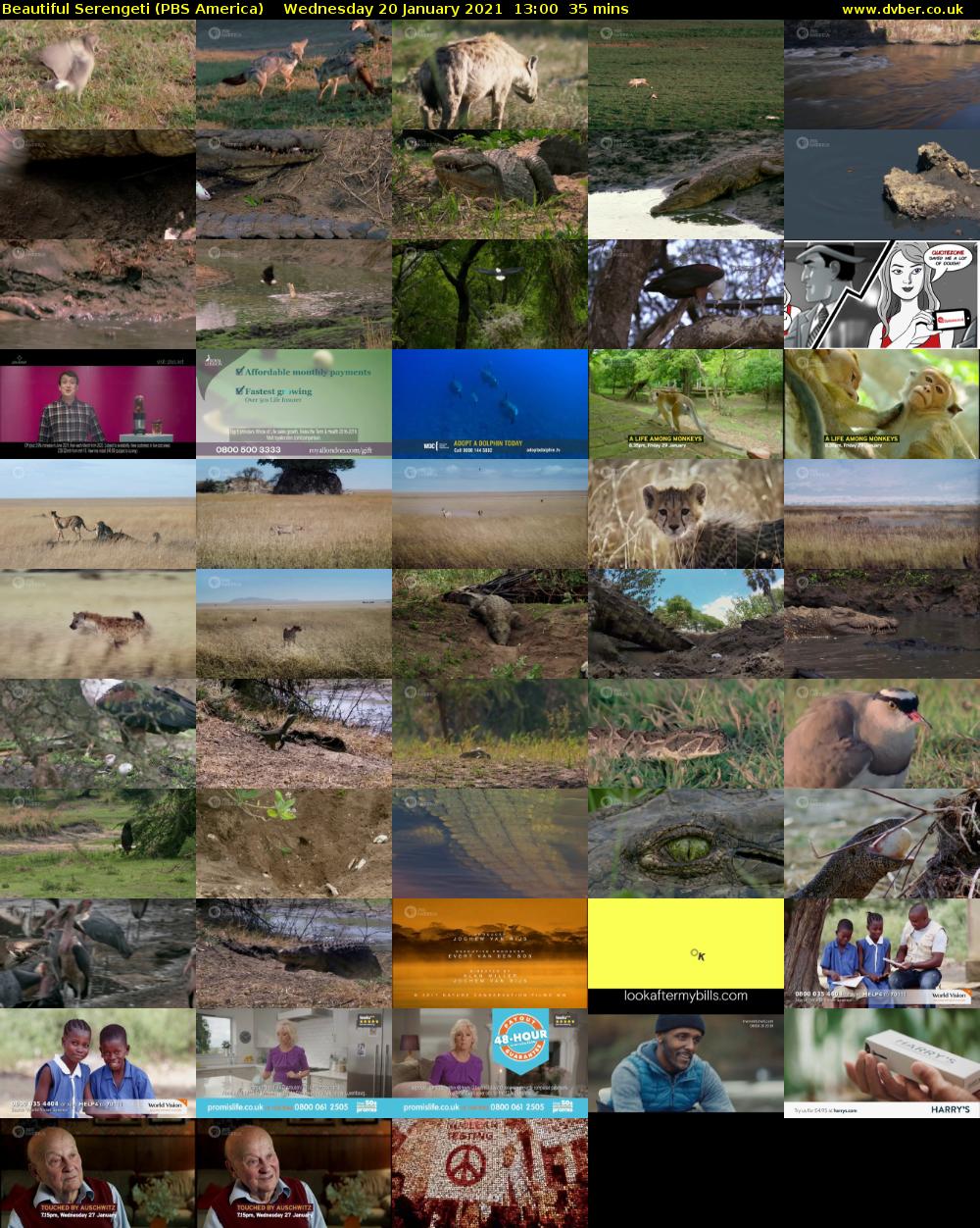 Beautiful Serengeti (PBS America) Wednesday 20 January 2021 13:00 - 13:35