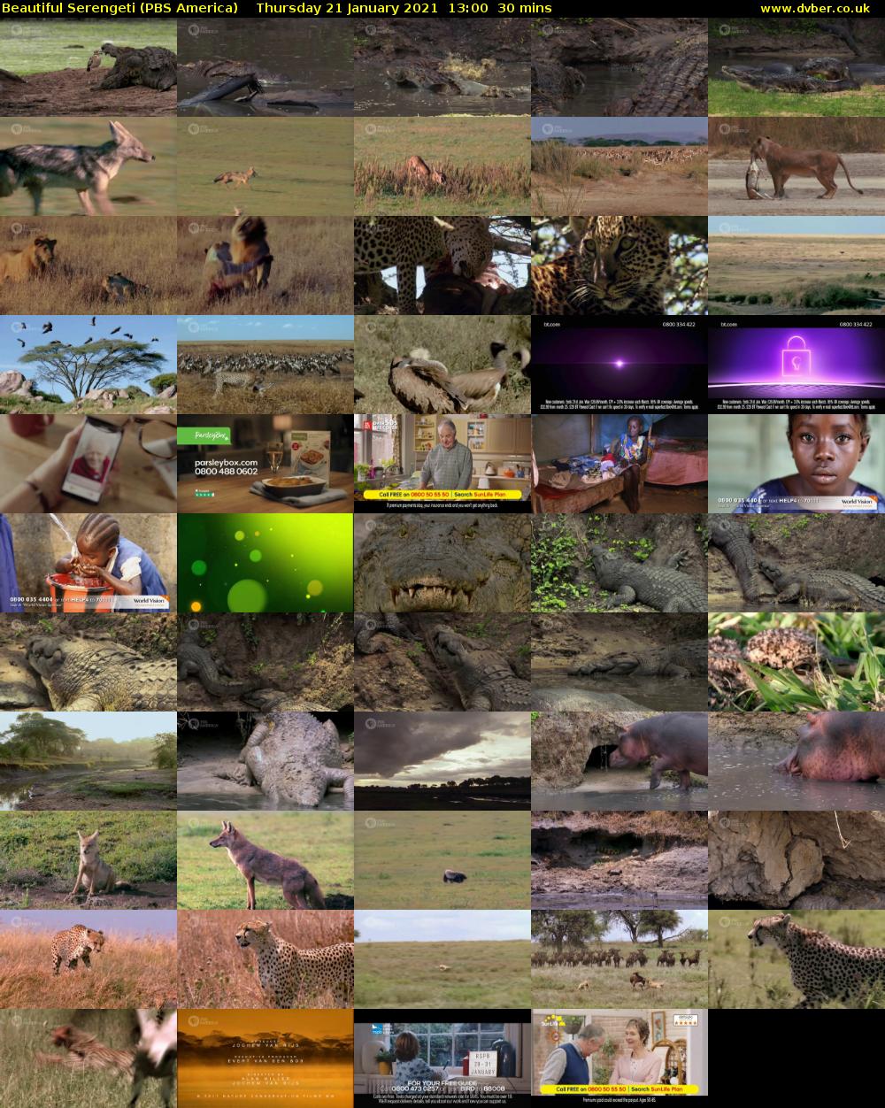 Beautiful Serengeti (PBS America) Thursday 21 January 2021 13:00 - 13:30