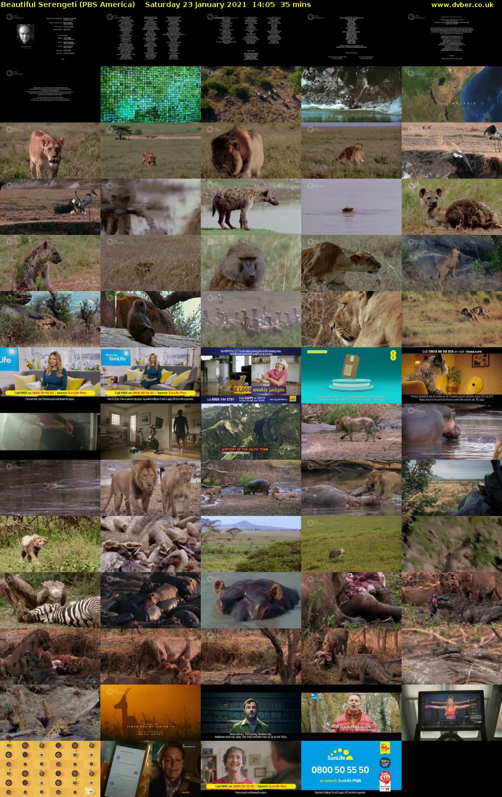 Beautiful Serengeti (PBS America) Saturday 23 January 2021 14:05 - 14:40
