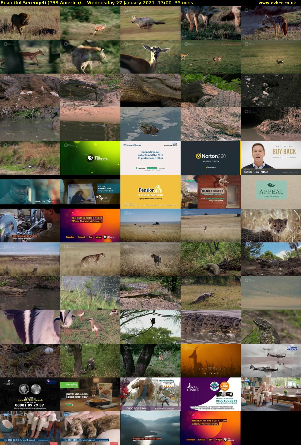 Beautiful Serengeti (PBS America) Wednesday 27 January 2021 13:00 - 13:35