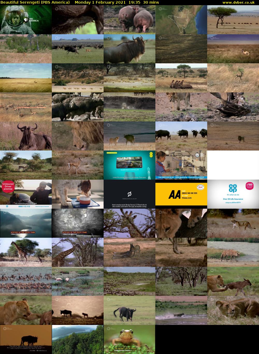 Beautiful Serengeti (PBS America) Monday 1 February 2021 19:35 - 20:05