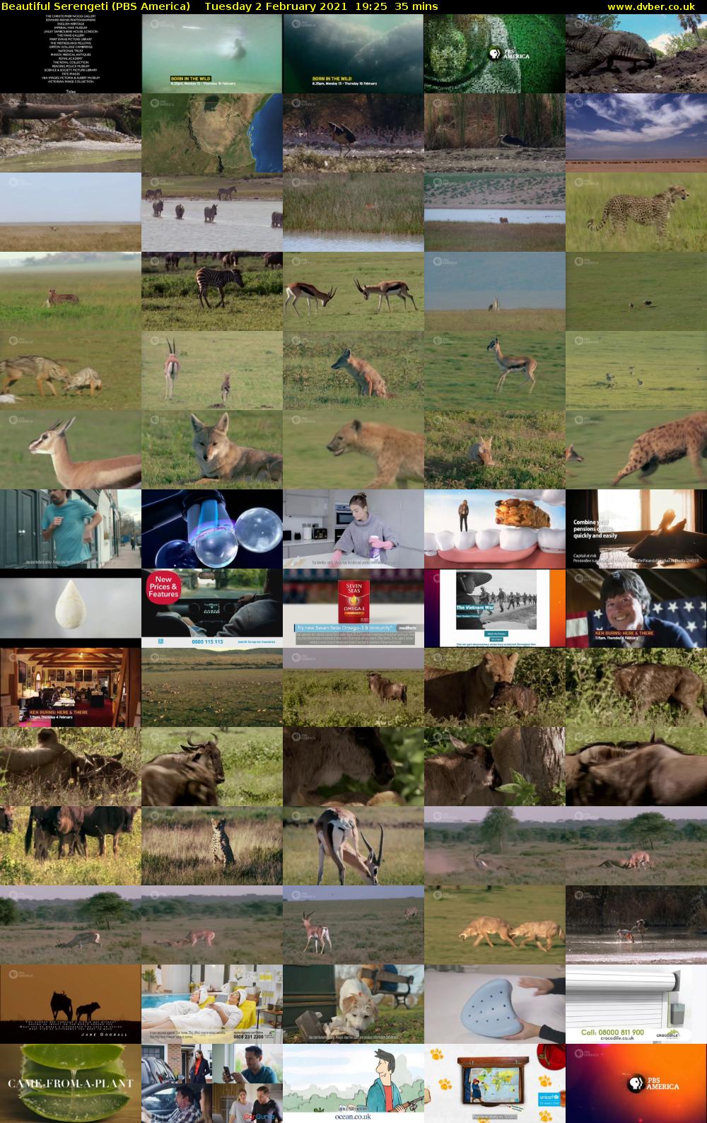 Beautiful Serengeti (PBS America) Tuesday 2 February 2021 19:25 - 20:00