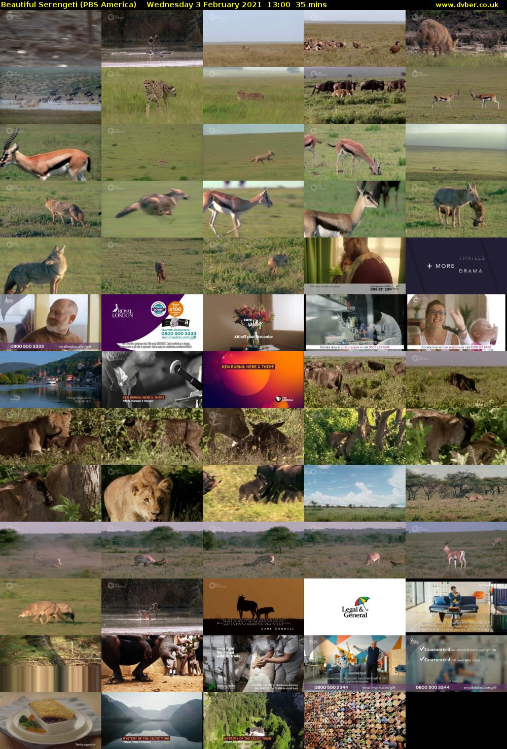 Beautiful Serengeti (PBS America) Wednesday 3 February 2021 13:00 - 13:35