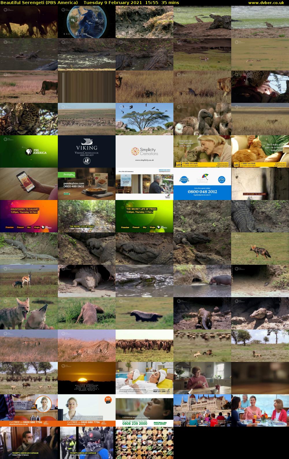 Beautiful Serengeti (PBS America) Tuesday 9 February 2021 15:55 - 16:30