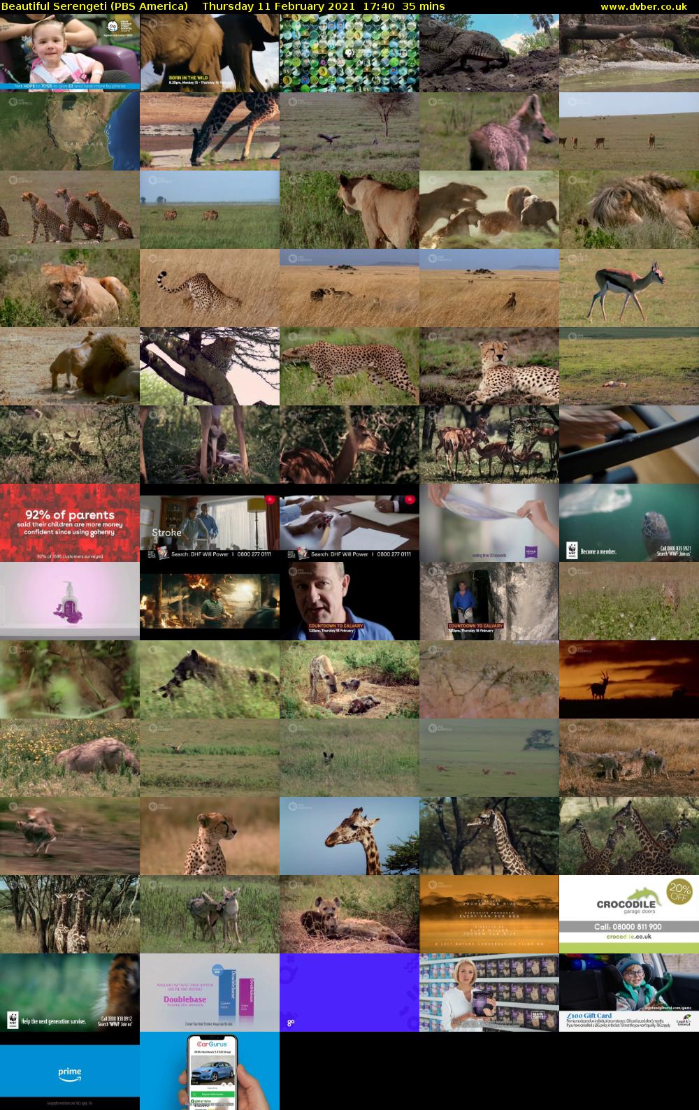 Beautiful Serengeti (PBS America) Thursday 11 February 2021 17:40 - 18:15