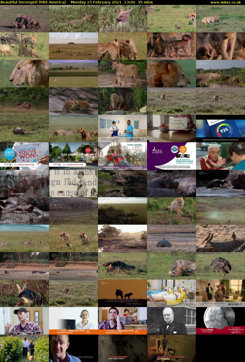 Beautiful Serengeti (PBS America) Monday 15 February 2021 13:00 - 13:35