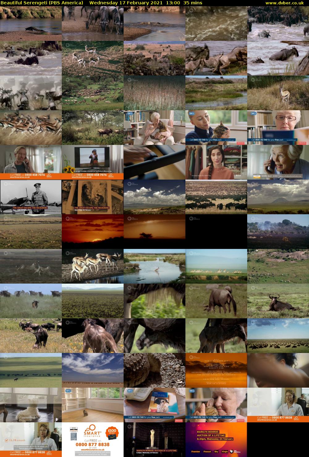 Beautiful Serengeti (PBS America) Wednesday 17 February 2021 13:00 - 13:35