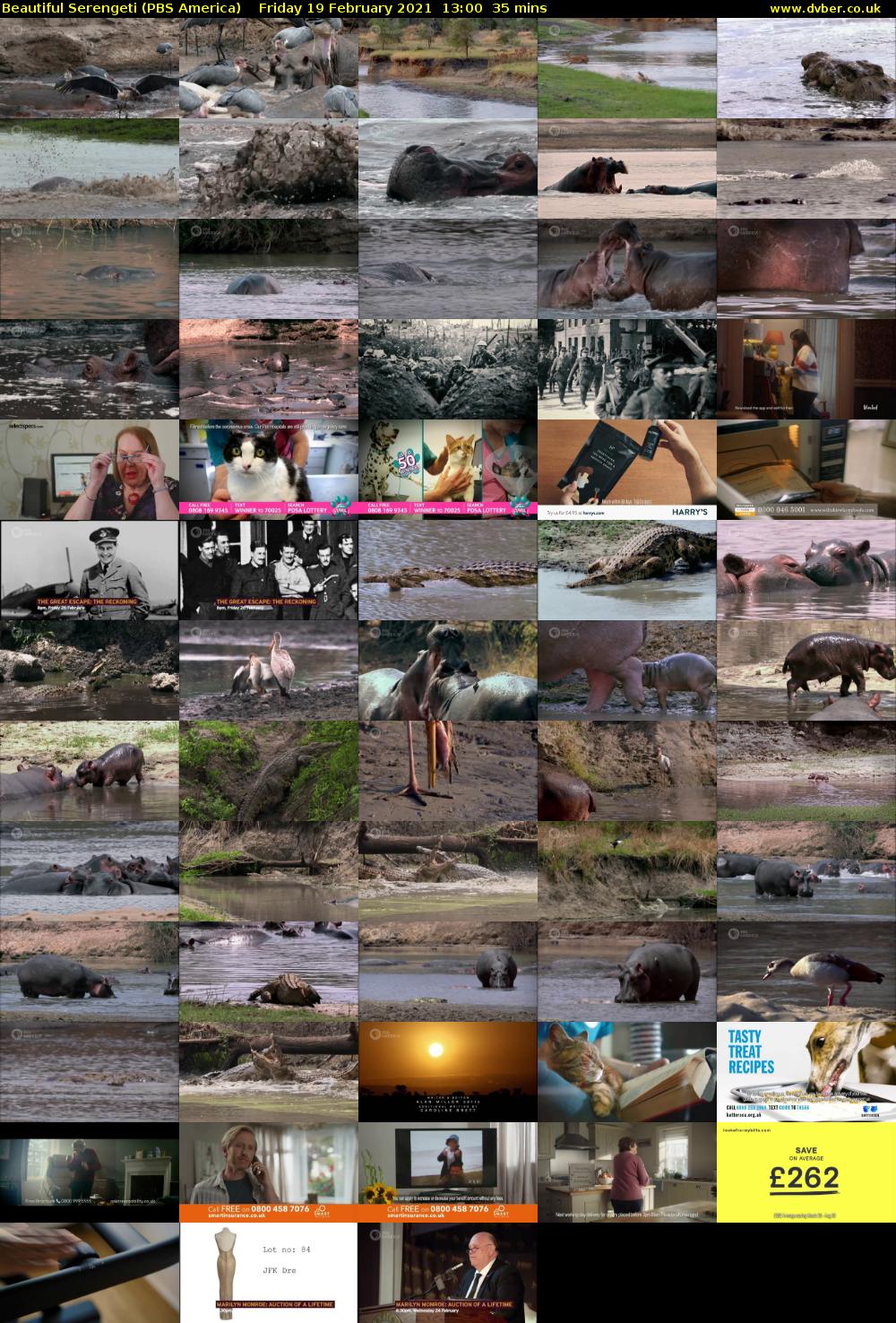 Beautiful Serengeti (PBS America) Friday 19 February 2021 13:00 - 13:35