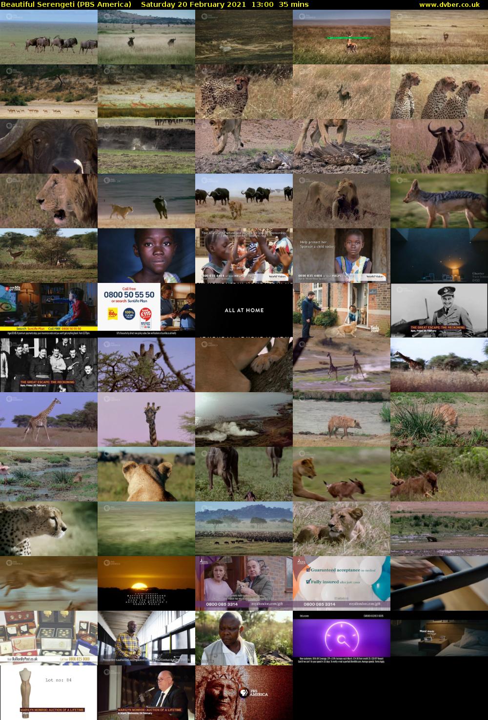 Beautiful Serengeti (PBS America) Saturday 20 February 2021 13:00 - 13:35