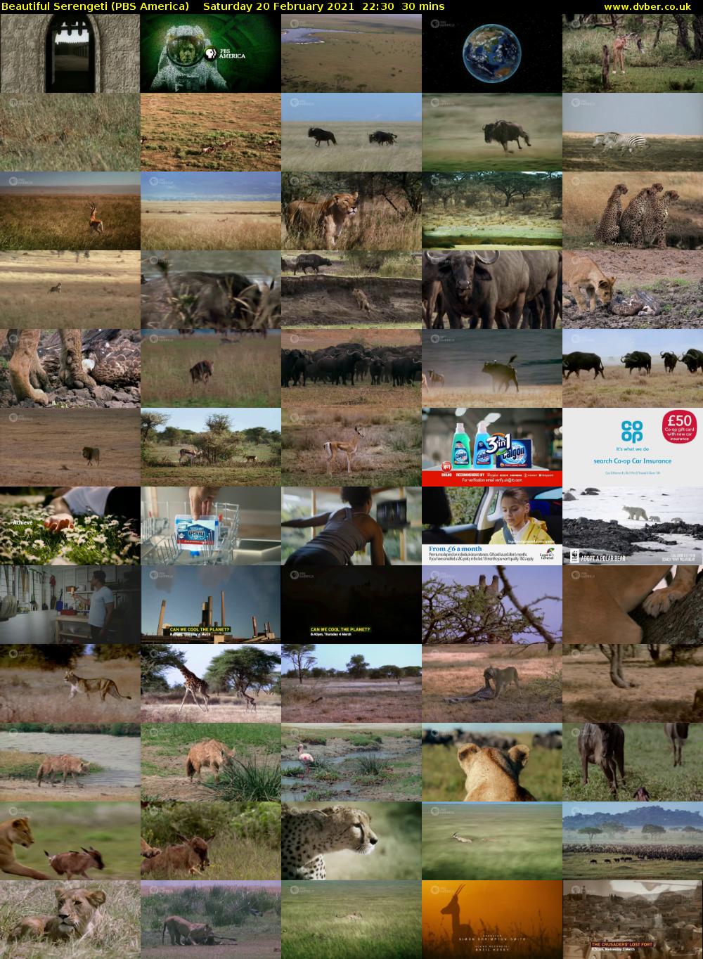Beautiful Serengeti (PBS America) Saturday 20 February 2021 22:30 - 23:00
