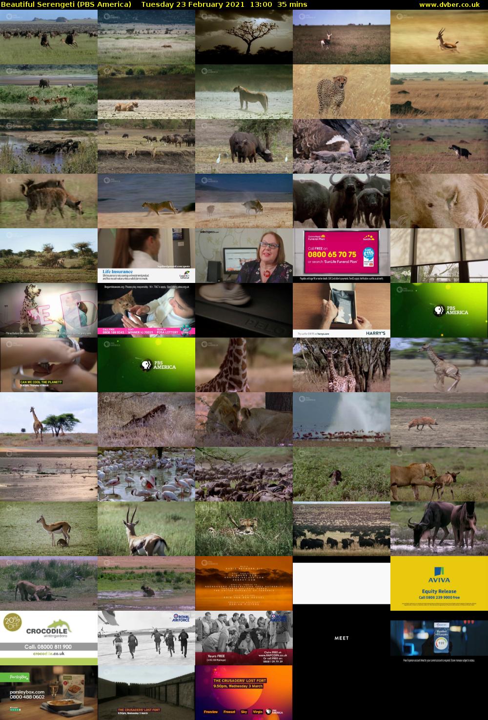 Beautiful Serengeti (PBS America) Tuesday 23 February 2021 13:00 - 13:35