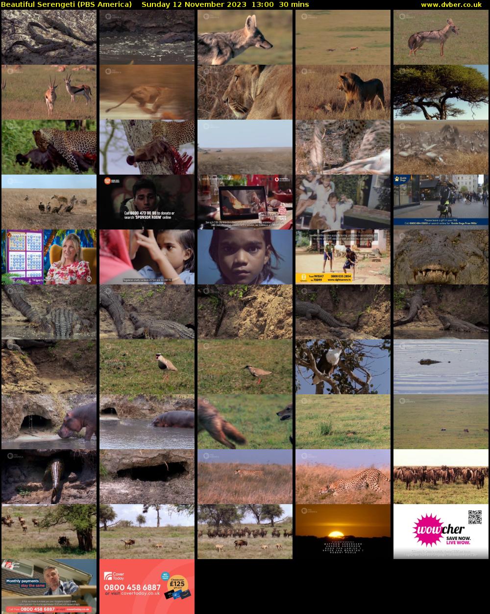 Beautiful Serengeti (PBS America) Sunday 12 November 2023 13:00 - 13:30