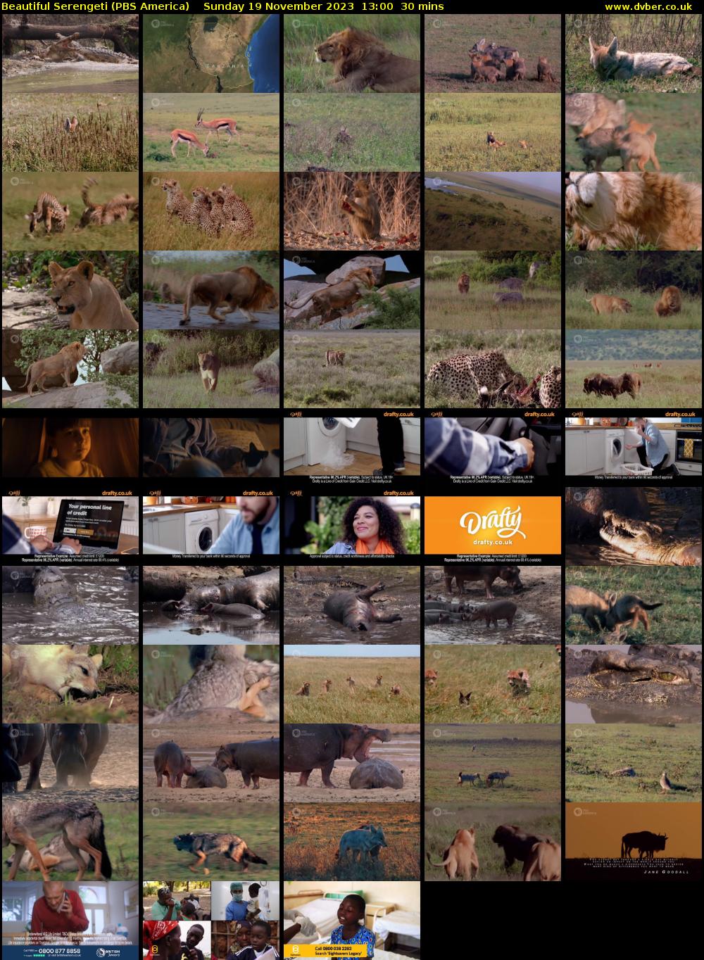 Beautiful Serengeti (PBS America) Sunday 19 November 2023 13:00 - 13:30