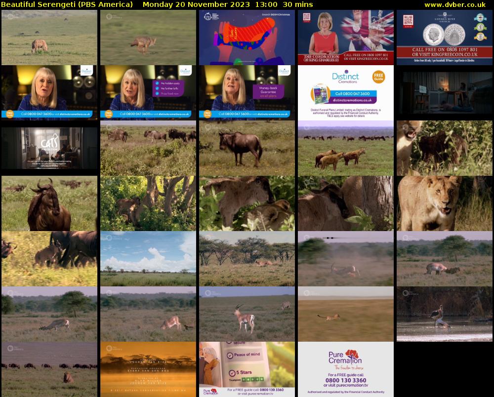Beautiful Serengeti (PBS America) Monday 20 November 2023 13:00 - 13:30