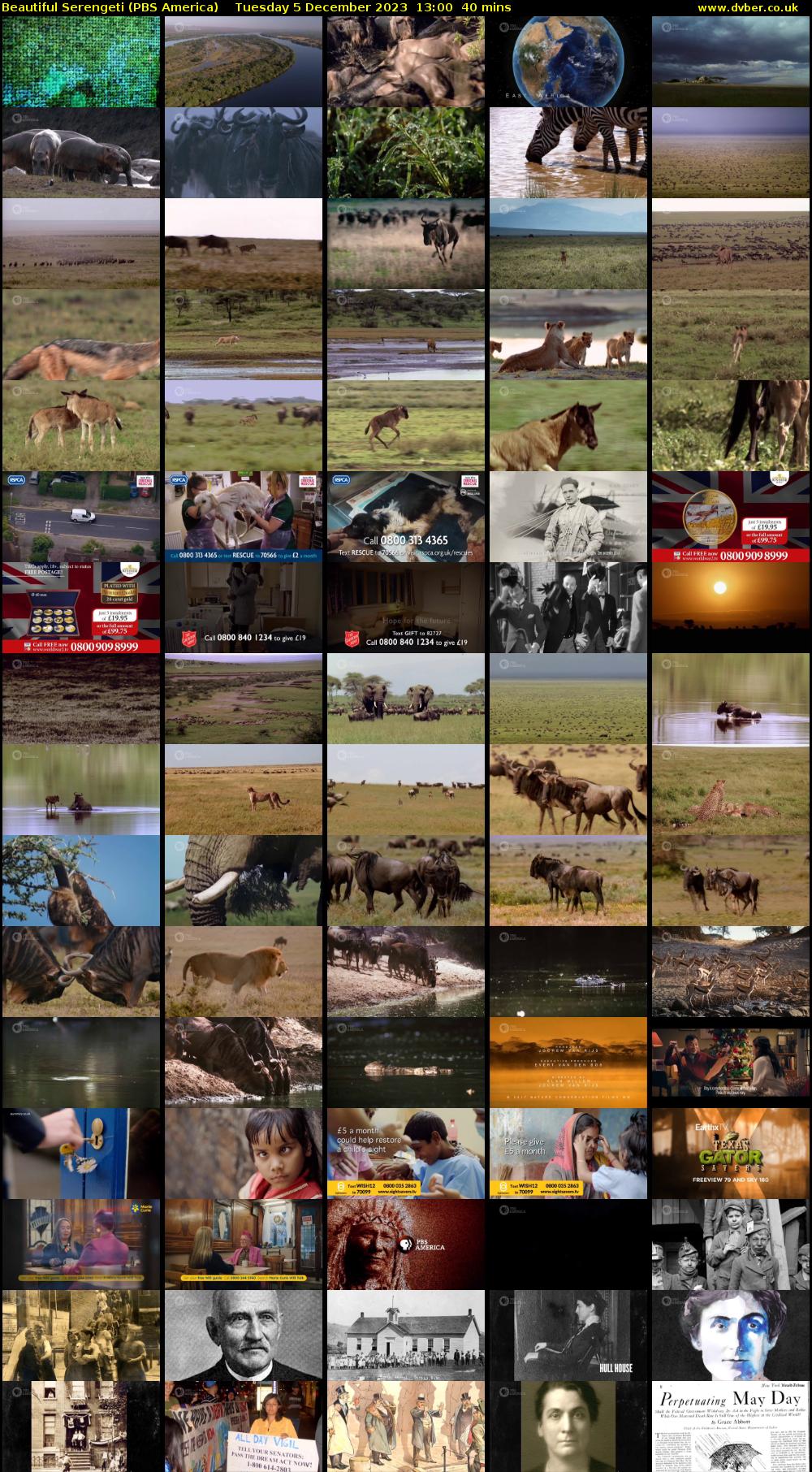 Beautiful Serengeti (PBS America) Tuesday 5 December 2023 13:00 - 13:40