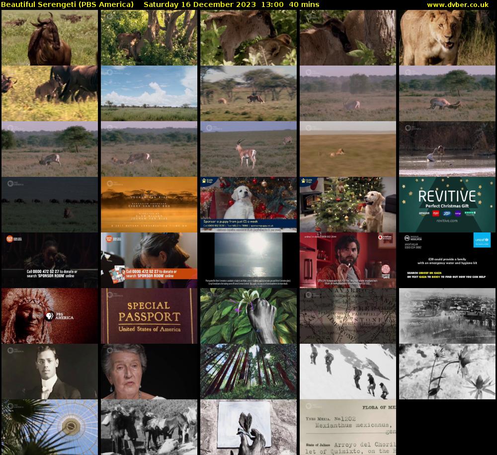 Beautiful Serengeti (PBS America) Saturday 16 December 2023 13:00 - 13:40