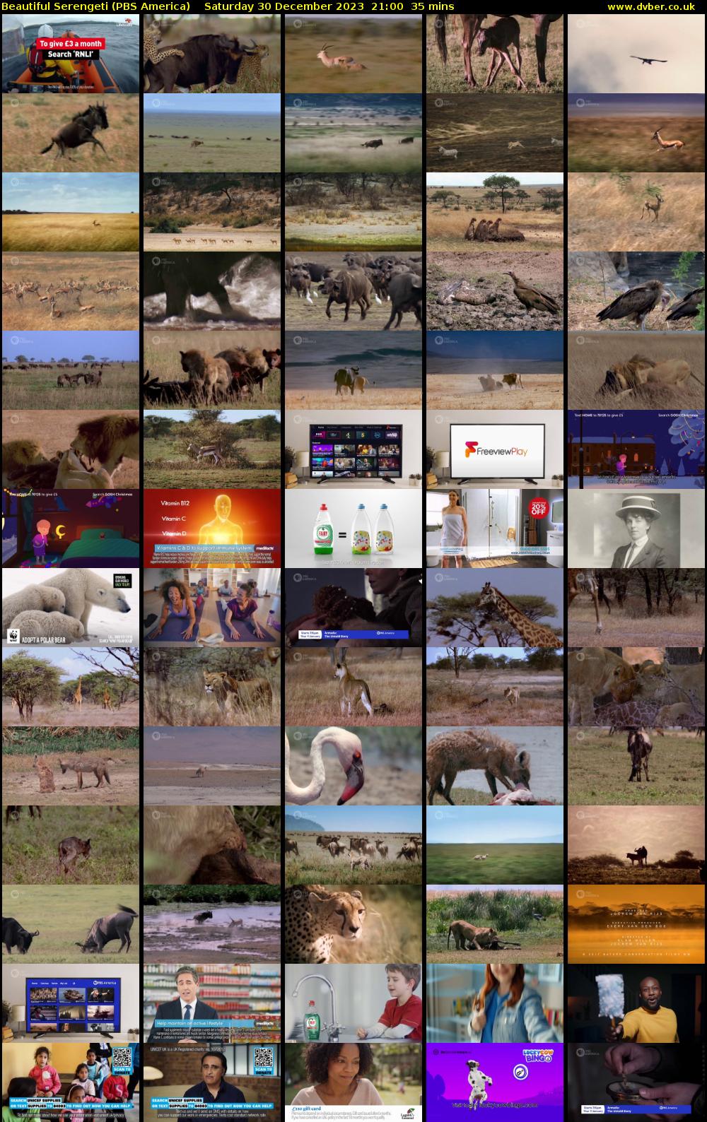 Beautiful Serengeti (PBS America) Saturday 30 December 2023 21:00 - 21:35