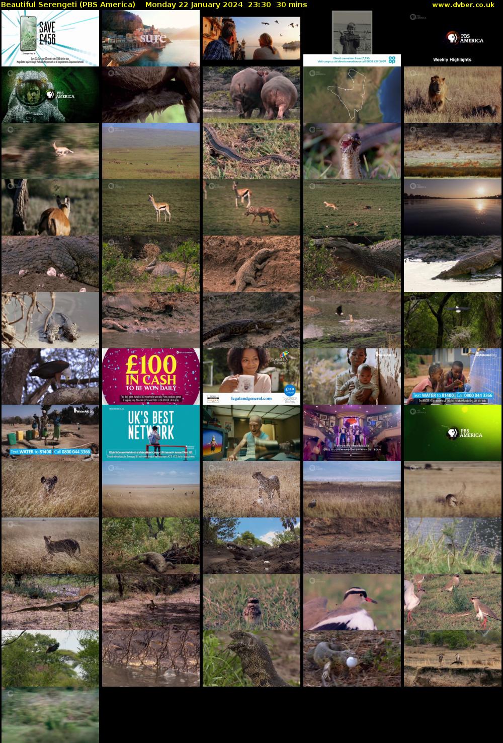 Beautiful Serengeti (PBS America) Monday 22 January 2024 23:30 - 00:00