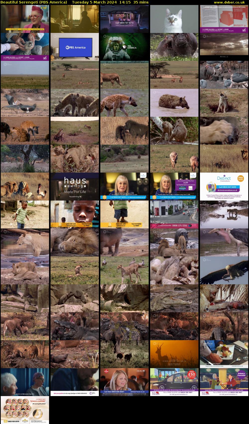 Beautiful Serengeti (PBS America) Tuesday 5 March 2024 14:15 - 14:50