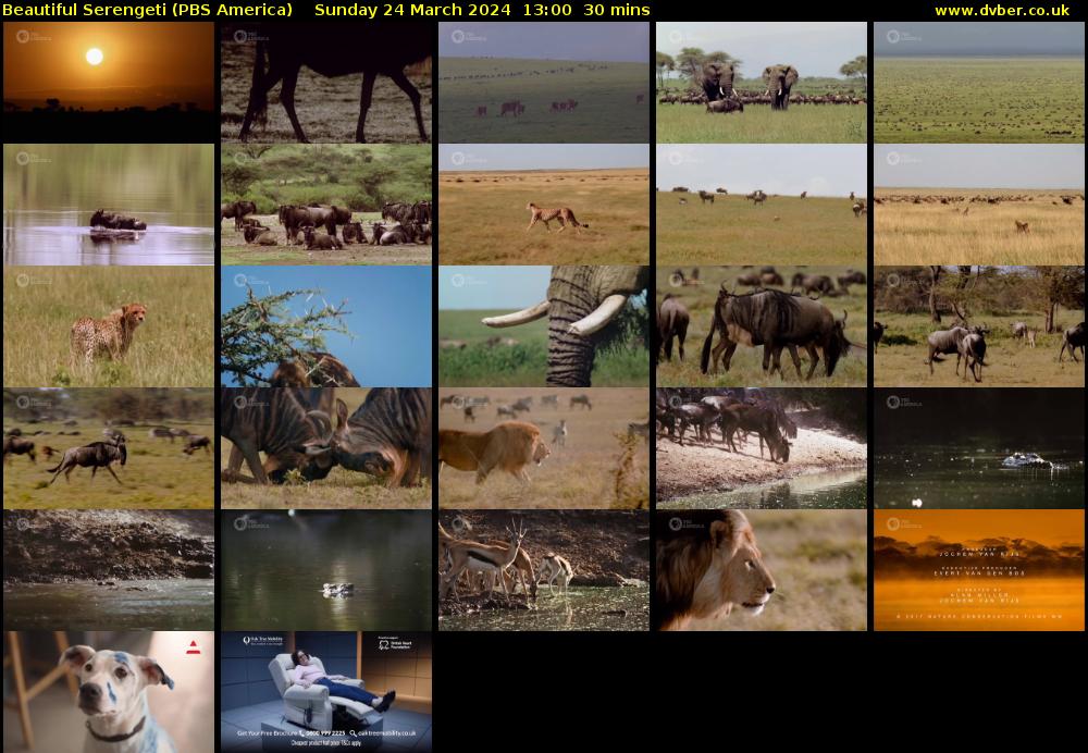 Beautiful Serengeti (PBS America) Sunday 24 March 2024 13:00 - 13:30