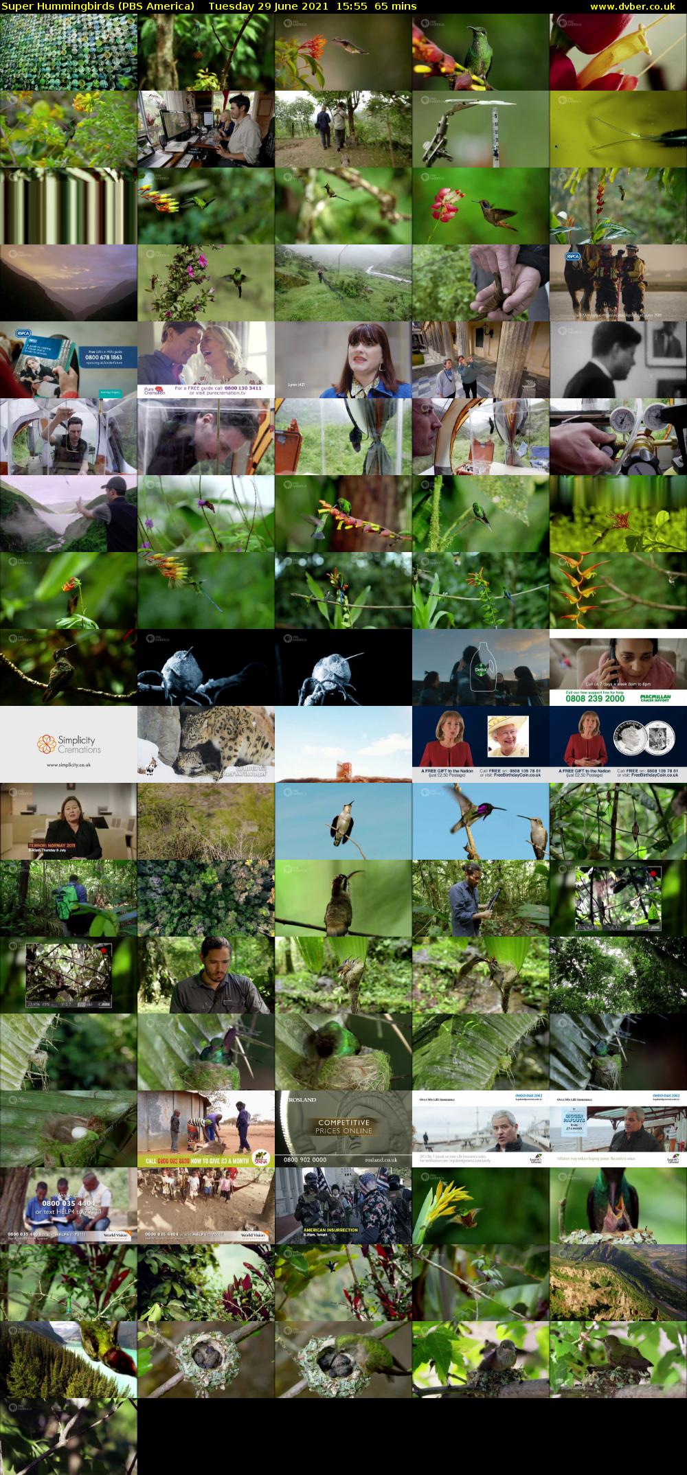 Super Hummingbirds (PBS America) Tuesday 29 June 2021 15:55 - 17:00
