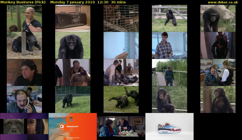 Monkey Business (Pick) Monday 7 January 2019 12:30 - 13:00