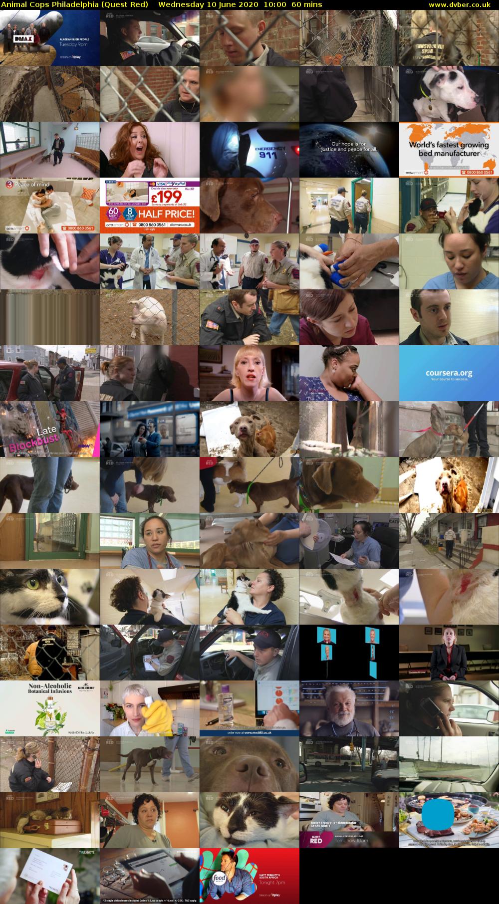 Animal Cops Philadelphia (Quest Red) 202006101000