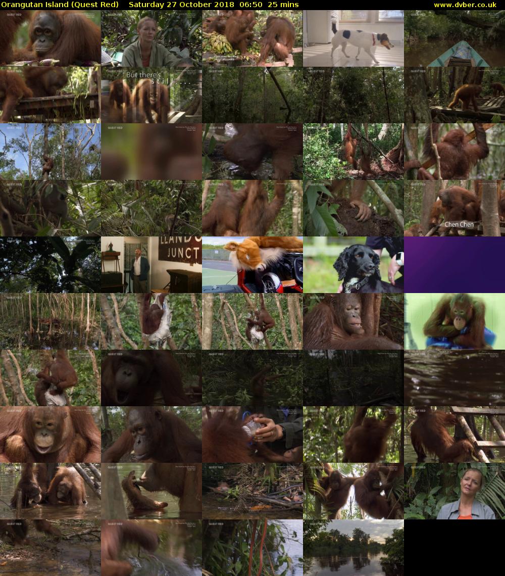 Orangutan Island (Quest Red) Saturday 27 October 2018 06:50 - 07:15