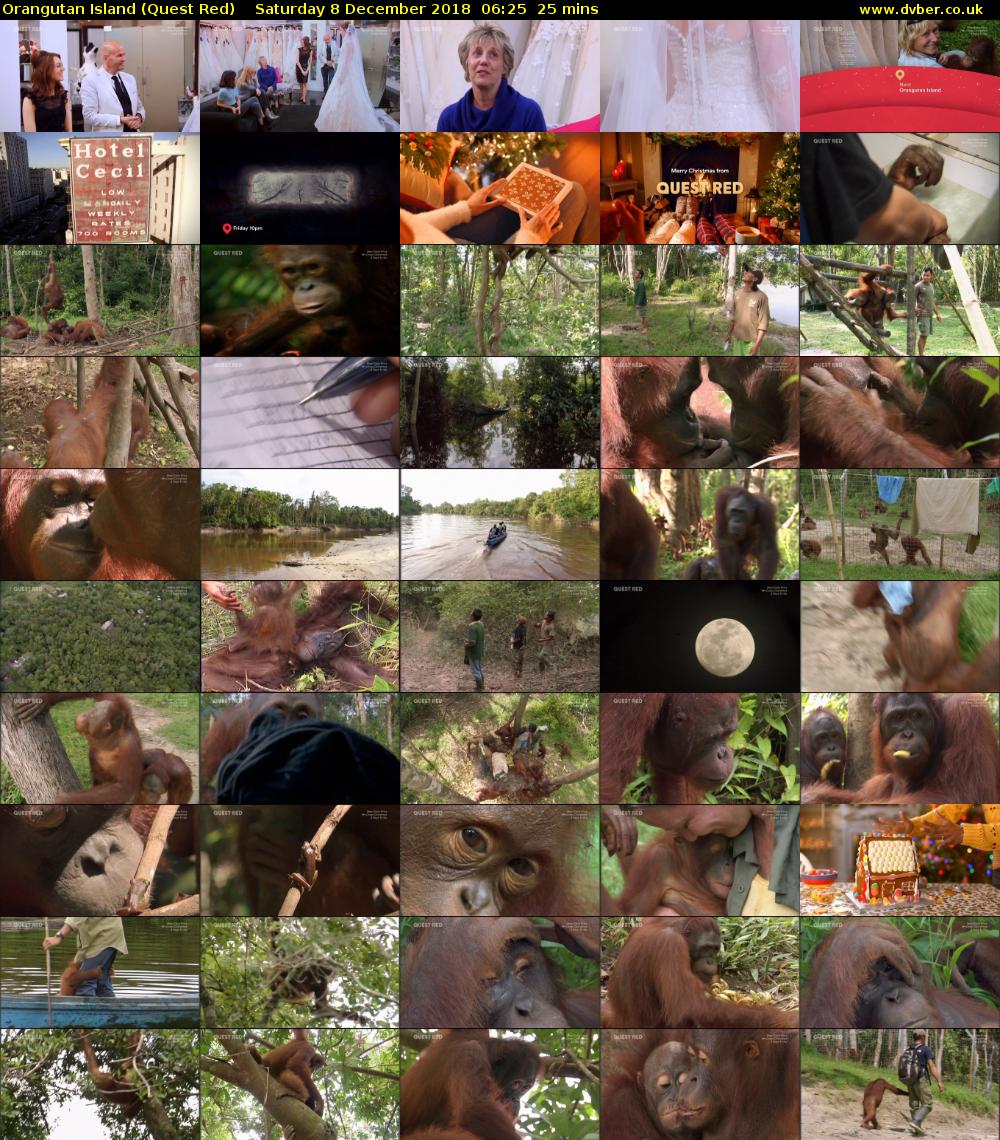 Orangutan Island (Quest Red) Saturday 8 December 2018 06:25 - 06:50