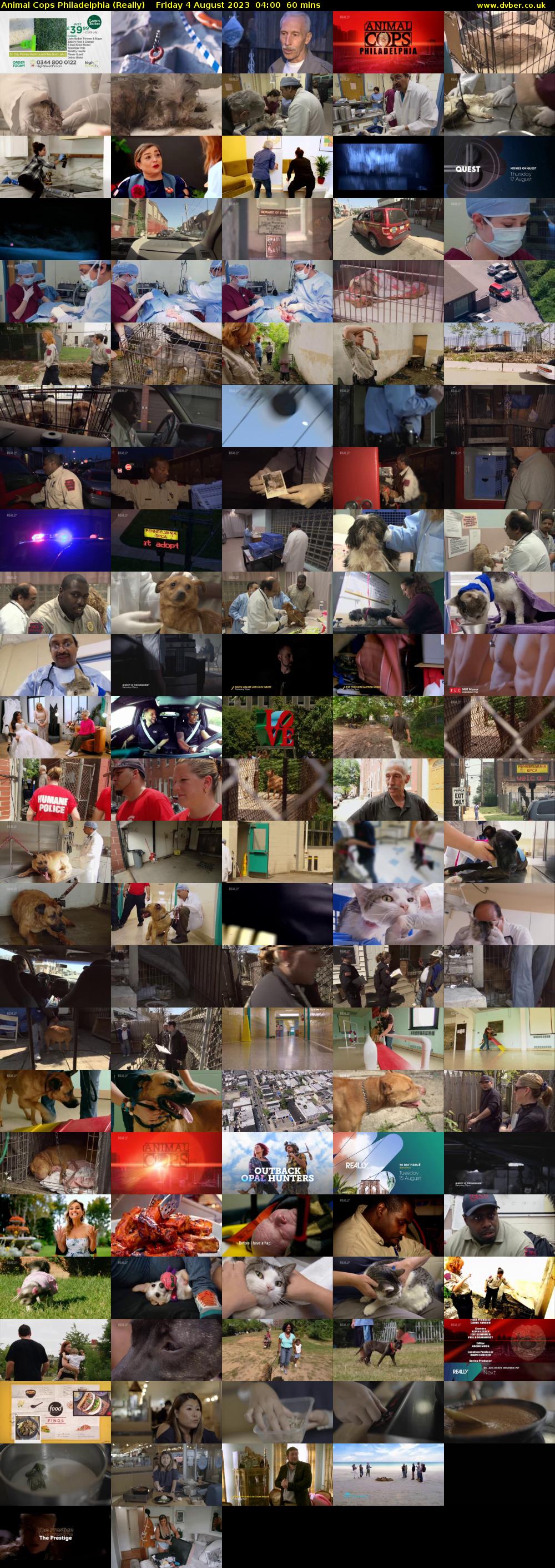 Animal Cops Philadelphia (Really) Friday 4 August 2023 04:00 - 05:00