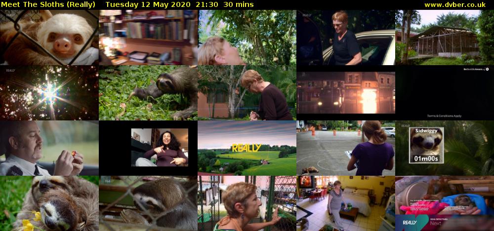 Meet The Sloths (Really) Tuesday 12 May 2020 21:30 - 22:00
