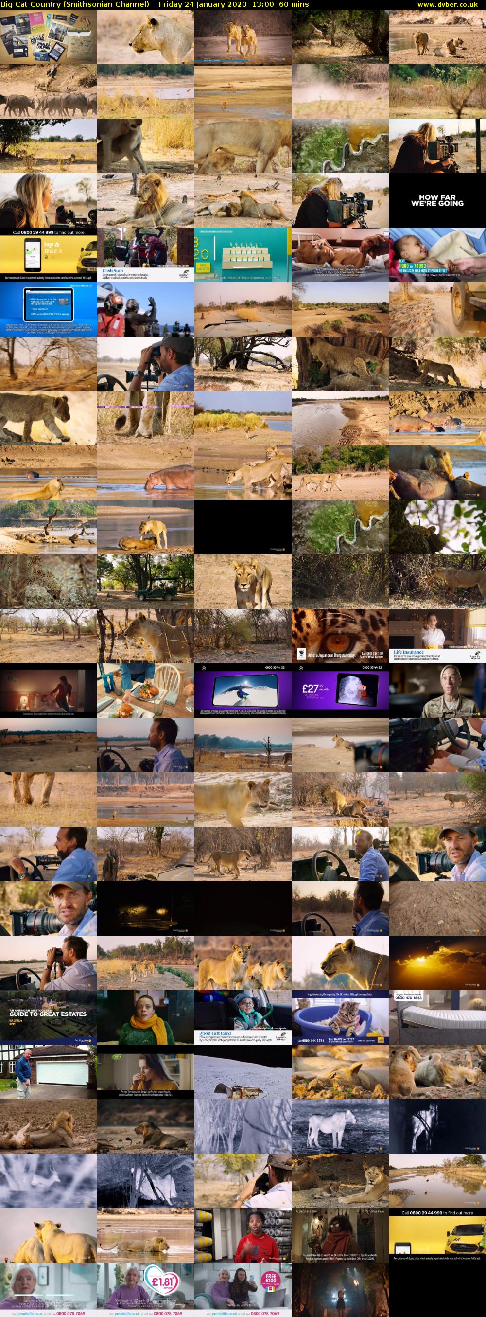 Big Cat Country (Smithsonian Channel) Friday 24 January 2020 13:00 - 14:00
